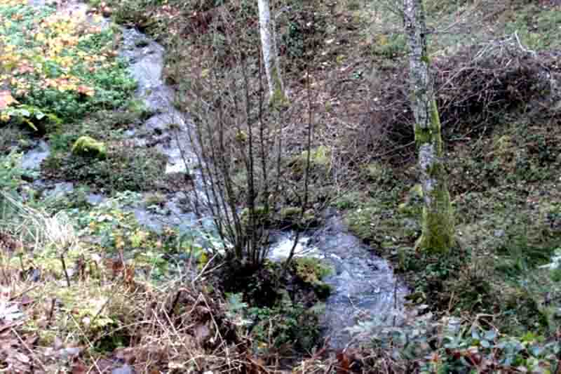 Ruisseau